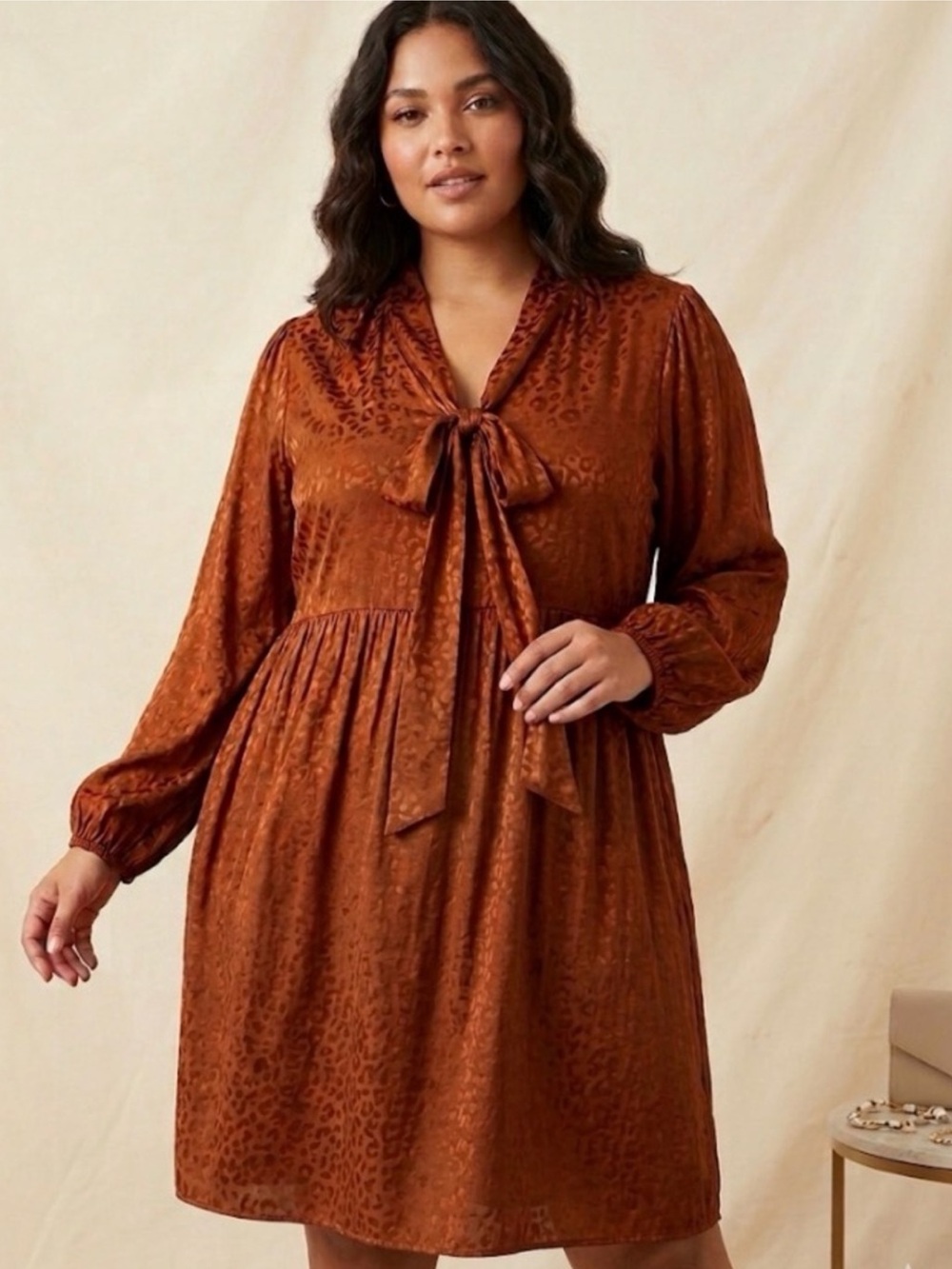 a new day Rust Brown Long Sleeve Tie-Neck Dress Size XXL